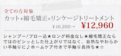 【今だけ限定☆】カット+縮毛矯正+リンケージトリートメント&yen;16200&rarr;12960
