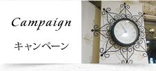キャンペーン